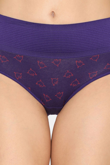 Zivame Anti-Microbial High Rise Full Coverage Tummy Tucker Hipster Panty (Pack of 2) - Multicolor — image 9